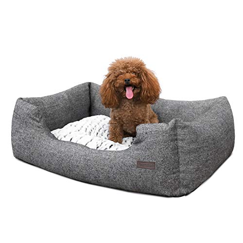 FEANDREA Cuccia Divano Letto per Cani Cuscino Materassino 60 x 50 x 22 cm - Ilgrandebazar