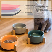 Carica l'immagine nel visualizzatore di Gallery, Petxt - Ciotola in ceramica rialzata per cuccioli di gatto, altezza bianco