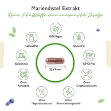 Carica l'immagine nel visualizzatore di Gallery, Mariendistel Extrakt 180 Kapseln mit je 500 mg - 80% Silymarin Anteil - 6 Monatsvorrat - Laborgeprüft (Wirkstoffgehalt &amp; Reinheit) - Hochdosiert - Vegan - Premium Qualität