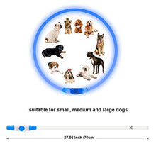 Carica l'immagine nel visualizzatore di Gallery, Homeculb - Collare Luminoso per Cani, Ricaricabile Tramite USB, Colori blue