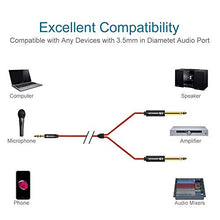 Carica l&#39;immagine nel visualizzatore di Gallery, LinkinPerk Cavo AUX 3,5mm a Doppio 6,35mm,Cavo Jack Mono Stereo 3.5 a 1M