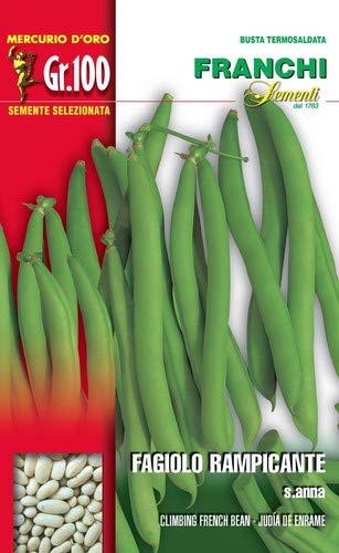 Franchi sementi semi di fagioli e fagiolini nani e rampicanti in 100 grammi - Ilgrandebazar