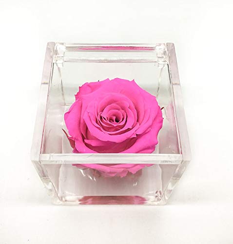 Cubo Rosa stabilizzata fucsia 5cm, profumata è una vera e propria che... - Ilgrandebazar