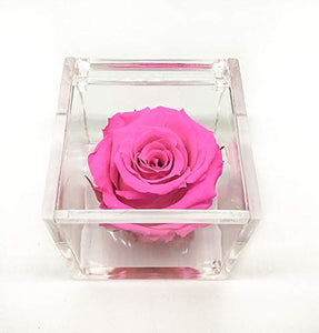 Cubo Rosa stabilizzata fucsia 5cm, profumata è una vera e propria che... - Ilgrandebazar