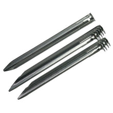 Carica l'immagine nel visualizzatore di Gallery, 10T - PEG IT 10VP-22SV, Set di picchetti, 22 cm, Colore: Argento