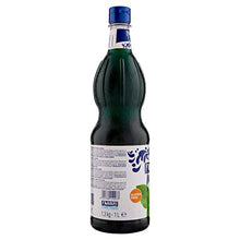Carica l&#39;immagine nel visualizzatore di Gallery, Fabbri Sciroppo Menta 1l