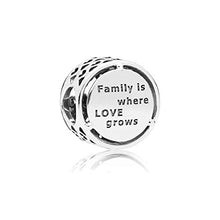 Carica l&#39;immagine nel visualizzatore di Gallery, Pandora Bead Charm Donna argento - 797590 - Ilgrandebazar