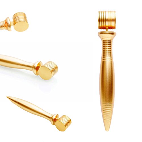 Microneedle Derma roller 540 micro Needle Skin care System – ideale per... - Ilgrandebazar