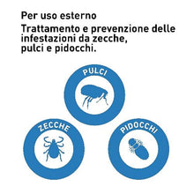 Carica l'immagine nel visualizzatore di Gallery, 2