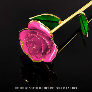 FORGIFTING Fiore di Vera Rosa Placcata con Oro 24K, Rose Conservate - Ilgrandebazar