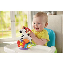 Carica l&#39;immagine nel visualizzatore di Gallery, Fisher Price FGJ11 - Zebra Attività - Giocattolo Neonato