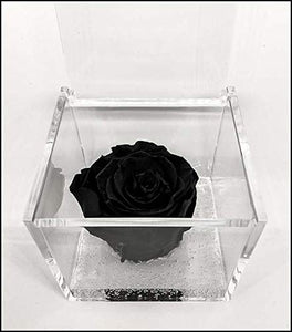 Cubo Rosa stabilizzata nera 8cm, profumata è una vera e propria che... - Ilgrandebazar