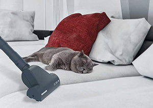 Hoover TE 75 Traino con Sacco Telios Plus, 700 watt, Rosso [Classe di... - Ilgrandebazar