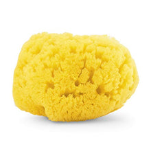 Carica l&#39;immagine nel visualizzatore di Gallery, Chicco Spugna Marina, 100% Naturale, 0+ Mesi