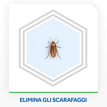 Carica l&#39;immagine nel visualizzatore di Gallery, Raid Esca Scarafaggi - 6 Pezzi