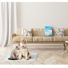 Carica l'immagine nel visualizzatore di Gallery, Nobleza - 50 pz Tappetini igienici per Cani, Misure 40 * 60*40 cm, 50 pcs - Ilgrandebazar