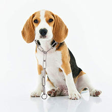 Carica l&#39;immagine nel visualizzatore di Gallery, UEETEK Collare catena In acciaio inox per Cani 3.0mm x 55cm - Ilgrandebazar