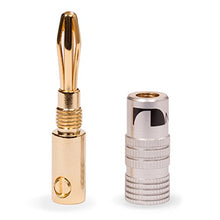 Carica l&#39;immagine nel visualizzatore di Gallery, 8x High End Nakamichi Bananenstecker 8 Stück,