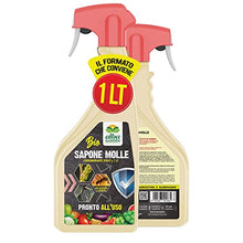 Carica l'immagine nel visualizzatore di Gallery, Albagarden - Sapone Molle di Potassio x 1 Litro - Corroborante Naturale Effetto Insetticida Piante Bio - Potenzia Le Difese Delle Piante Da Insetti Cocciniglia Pidocchi Ragnetto Rosso Cimici Spray