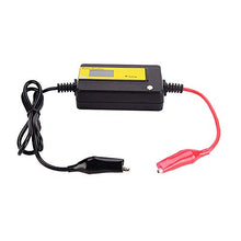 Carica l&#39;immagine nel visualizzatore di Gallery, cleanpower Auto Pulsing 400Ah LED Display Piombo Acido Batteria Desolfatore... - Ilgrandebazar