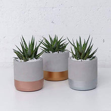 Carica l&#39;immagine nel visualizzatore di Gallery, Atelier Ideco - Rotonda Grigia Coperta E Rosegold Vaso Di Fiori Cemento,... - Ilgrandebazar