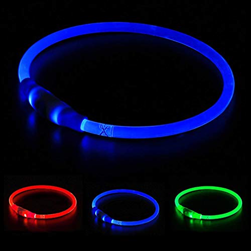 Homeculb - Collare Luminoso per Cani, Ricaricabile Tramite USB, Colori blue