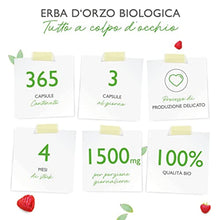 Carica l'immagine nel visualizzatore di Gallery, 1