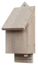 Carica l&#39;immagine nel visualizzatore di Gallery, Wildlife World CBB Casella per i Pipistrelli