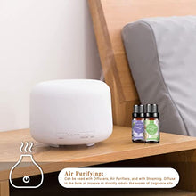 Carica l'immagine nel visualizzatore di Gallery, PHATOIL Oli Essenziali Profumo Set 10 x 10 ml Muschio Bianco Cocco Vaniglia Lino Fresco Brezza Marina Viola Orchidea Nera Cipria Magnolia Giapponese Mandarino Fresia