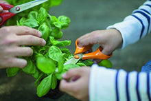 Carica l&#39;immagine nel visualizzatore di Gallery, Fiskars Forbici multiuso, Lunghezza: 21 cm, Lama in acciaio inox/Impugnature... - Ilgrandebazar