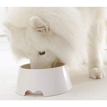 Carica l'immagine nel visualizzatore di Gallery, Dog Water ciotola non Spill Pet Bowl, no Skid e anti-choking...
