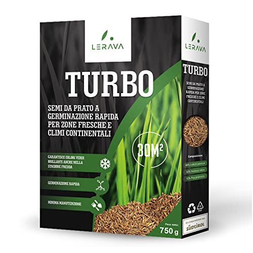 LERAVA TURBO Semi da prato a germinazione rapida per zone fresche e climi continentali - garantisce colori verdi brillanti - con erba che cresce veloce - 30m²