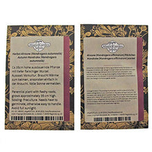 Carica l&#39;immagine nel visualizzatore di Gallery, Magic Garden Seeds varietà di Mandragora - Set Regalo Semi con Mandragora... - Ilgrandebazar