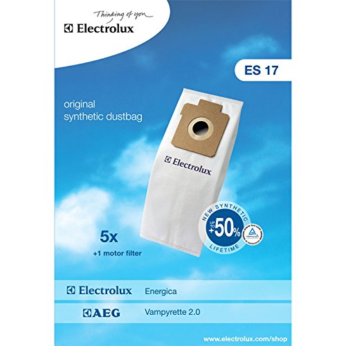 Electrolux 900256339 Es17 Sacco Sintetico per Energica, 1 Filtro Motore - Ilgrandebazar