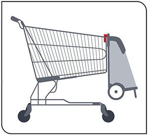 GIMI Flexi Carrello Portaspesa, Portata 30 kg, Telaio Richiudibile, Argento