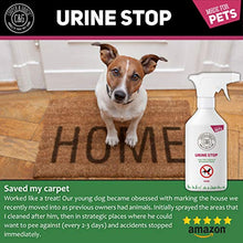 Carica l&#39;immagine nel visualizzatore di Gallery, C&amp;G Urina Stop Spray per Repellente Gatti e Cani | e Gatti...
