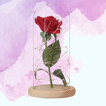 Carica l&#39;immagine nel visualizzatore di Gallery, Ledmomo - Lampada con rosa in seta e luce a LED, cupola di vetro e base... - Ilgrandebazar
