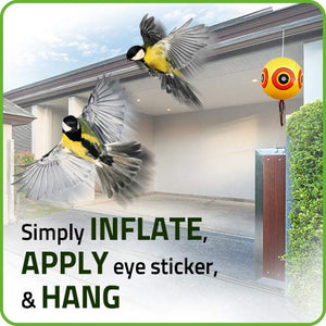 De-bird Sistema Repellente antiuccelli - palloni gonfiabili con Occhio...
