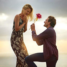 Carica l&#39;immagine nel visualizzatore di Gallery, Wisolt Oro Rosa 24 carati, Nuovo Stelo Lungo con in Rosso