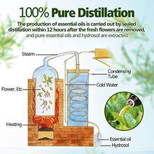 Carica l&#39;immagine nel visualizzatore di Gallery, Oli Essenziali per Diffusori, Set di olio essenziale 12 x 10 ml, Essenze Naturali olio essenziale,Tea Tree Lavanda Rosmarino Eucalipto Ylang-ylang Incenso Citronella Arancia Menta Limone Bergamotto