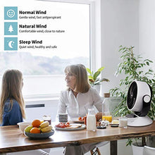 Carica l&#39;immagine nel visualizzatore di Gallery, Ventilatore Silenzioso, Silenzioso 25dB, da Tavolo, Pannello...