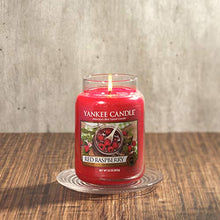 Carica l&#39;immagine nel visualizzatore di Gallery, Yankee Candle candela profumata in giara grande, Lampone rosso, durata: Large - Ilgrandebazar