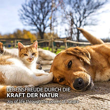 Carica l&#39;immagine nel visualizzatore di Gallery, AniForte Omega-3 Capsule di Olio Salmone per Cani e Gatti 500 -...