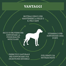 Carica l&#39;immagine nel visualizzatore di Gallery, Marchio Amazon - Solimo - Alimento secco completo per cani adulti ricco 20 kg - Ilgrandebazar