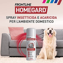 Carica l'immagine nel visualizzatore di Gallery, 1