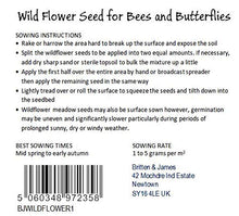 Carica l&#39;immagine nel visualizzatore di Gallery, Twin Pack di Britten and James Wildflower per api e farfalle della RHS... - Ilgrandebazar