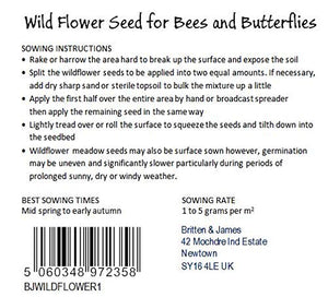 Twin Pack di Britten and James Wildflower per api e farfalle della RHS... - Ilgrandebazar