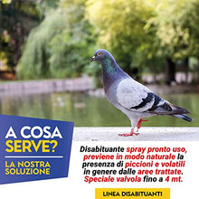 Carica l&#39;immagine nel visualizzatore di Gallery, Albagarden - Repellente Piccioni - Effetto IMMEDIATO - Barriera Vegetale Olfattiva Anti Piccioni E Gabbiani - Disabituante E Dissuasore Scaccia Uccelli - Spray Gas 750 ml