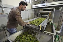 Carica l&#39;immagine nel visualizzatore di Gallery, Olio Extravergine di Oliva 100% ITALIANO Estratto a Freddo Gnavolini 5 l