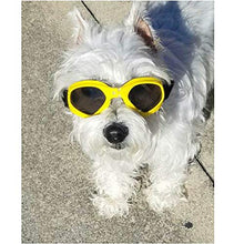 Carica l&#39;immagine nel visualizzatore di Gallery, XUNKE Occhiali da Sole e protettivi per Cani di Piccoli Taglia, Anti Giallo